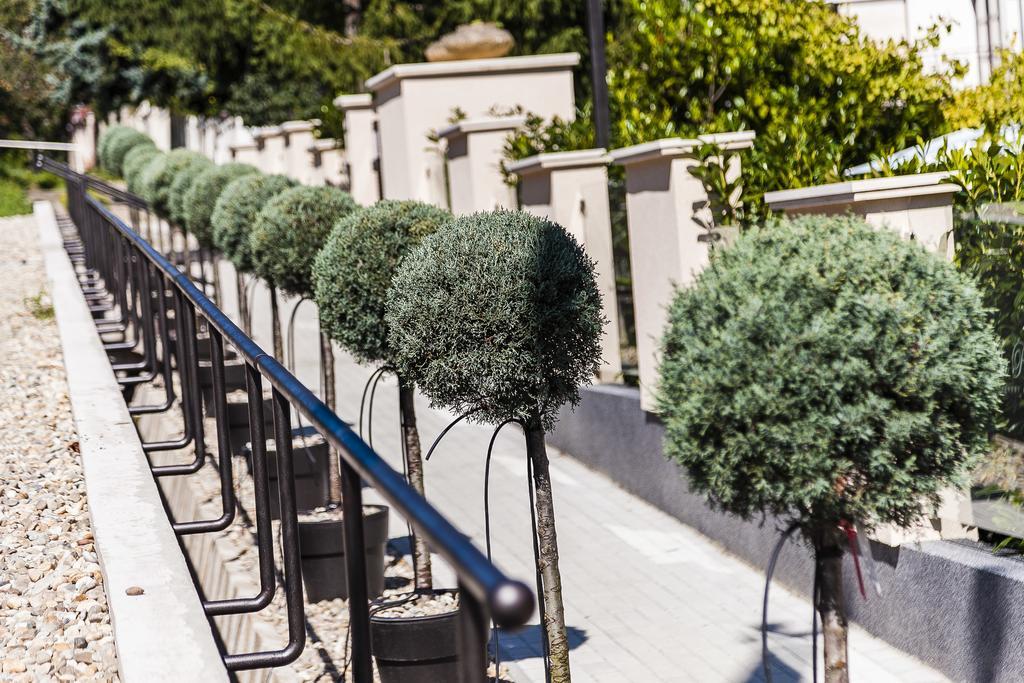 Villa Rosa Boutique Hotel Budapeszt Zewnętrze zdjęcie